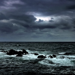 dailyPhoto37